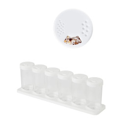 Ernesto Spice Jar Set