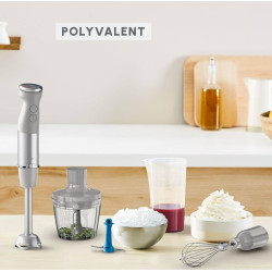 Moulinex Hand blender